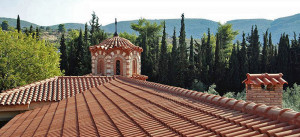 Iannis cel gras